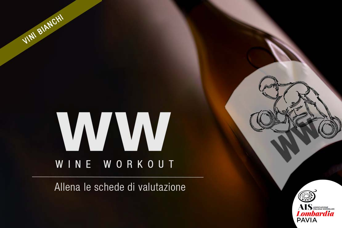 Wine Workout |  Vini Bianchi 24/10