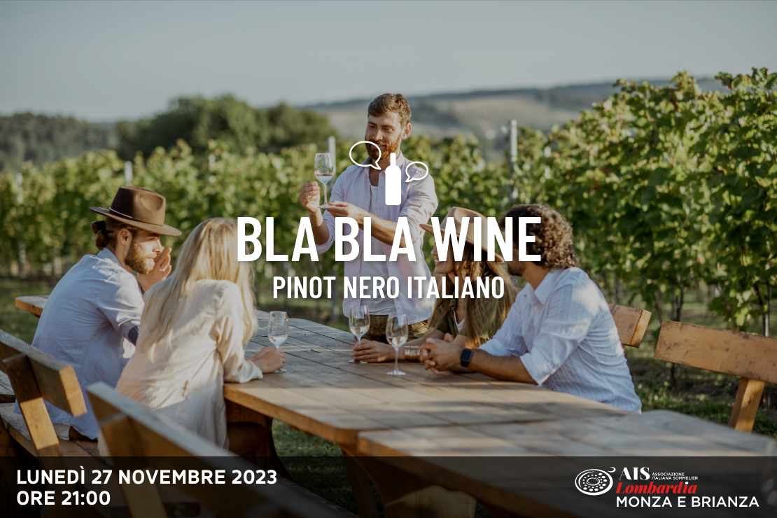 Bla Bla Wine. Pinot Nero italiano