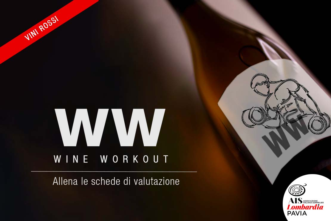 Wine Workout |  Vini Rossi 20/12