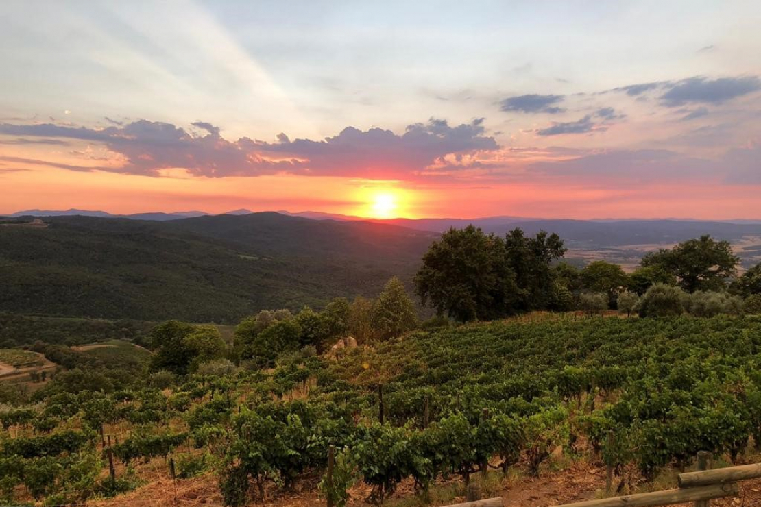 L’azienda in Verticale. Tiezzi, la storia di Montalcino