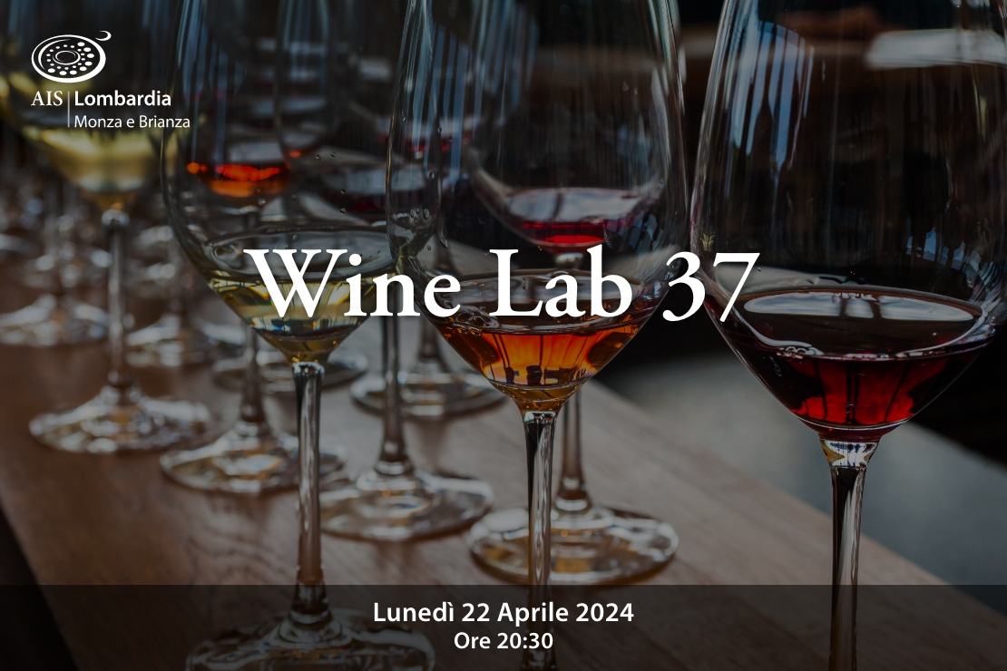 Wine Lab 37