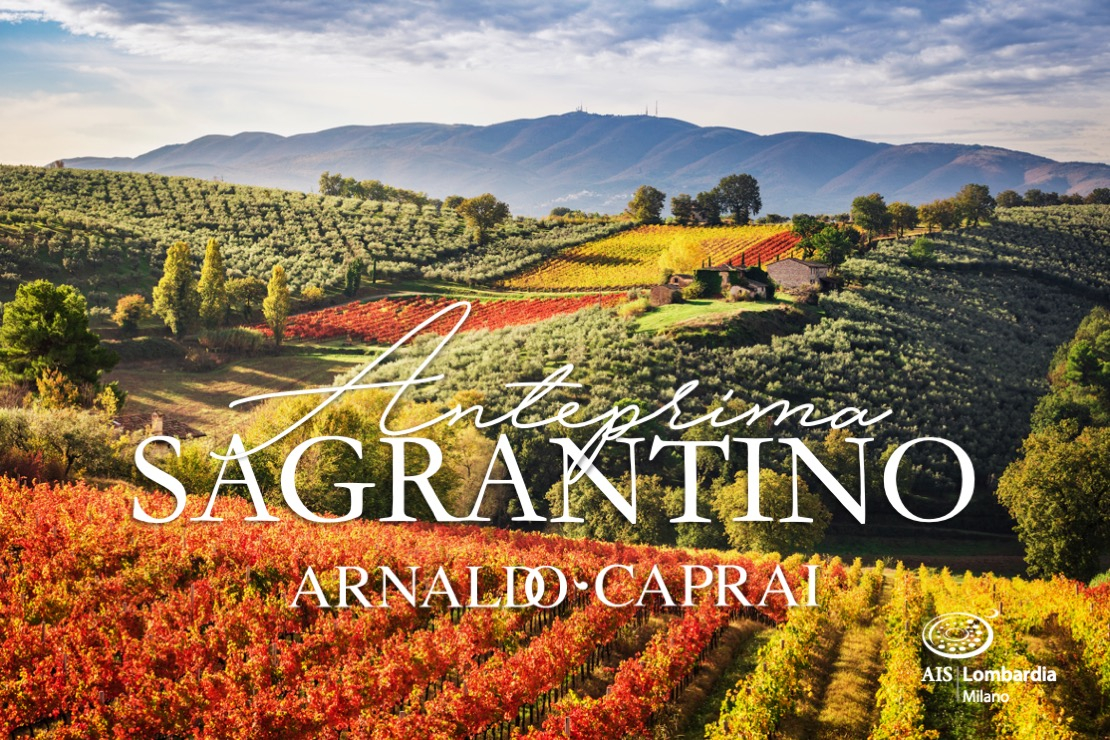 Arnaldo Caprai. Anteprima Sagrantino