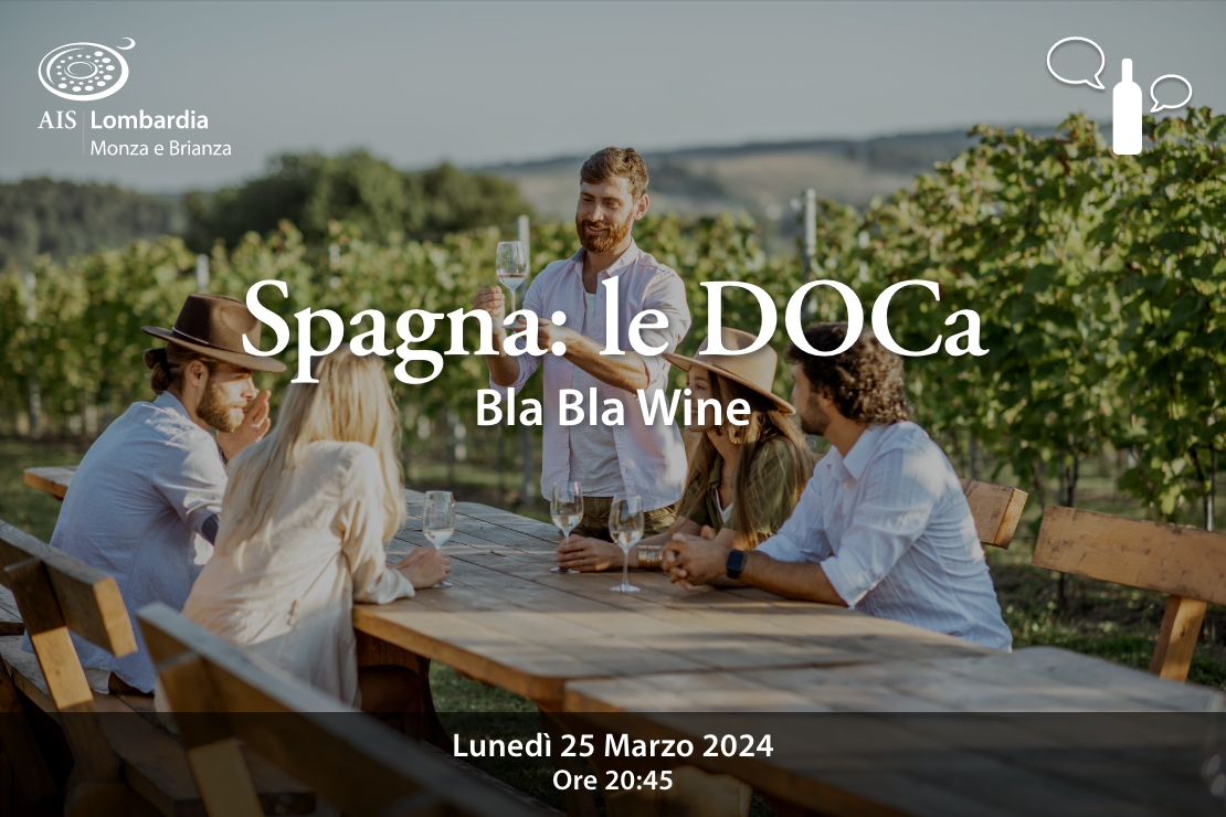 Bla Bla wine. Spagna: le DOCa