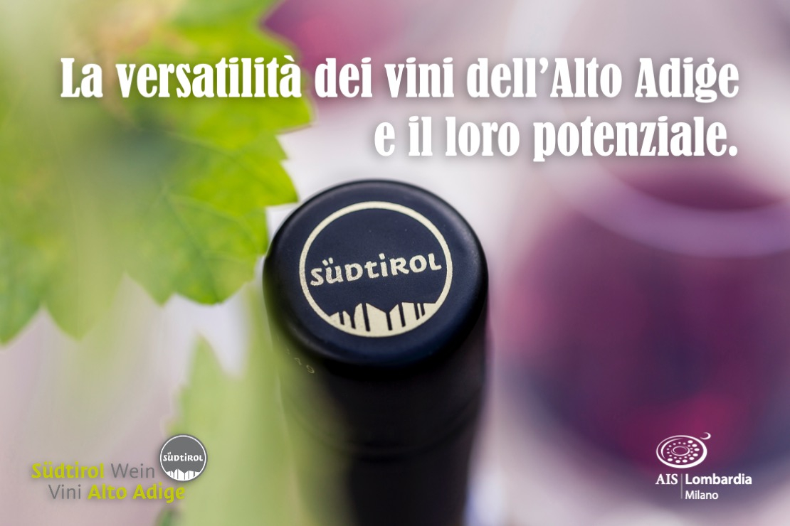 La versatilità dei vini dell’Alto Adige e il loro potenziale