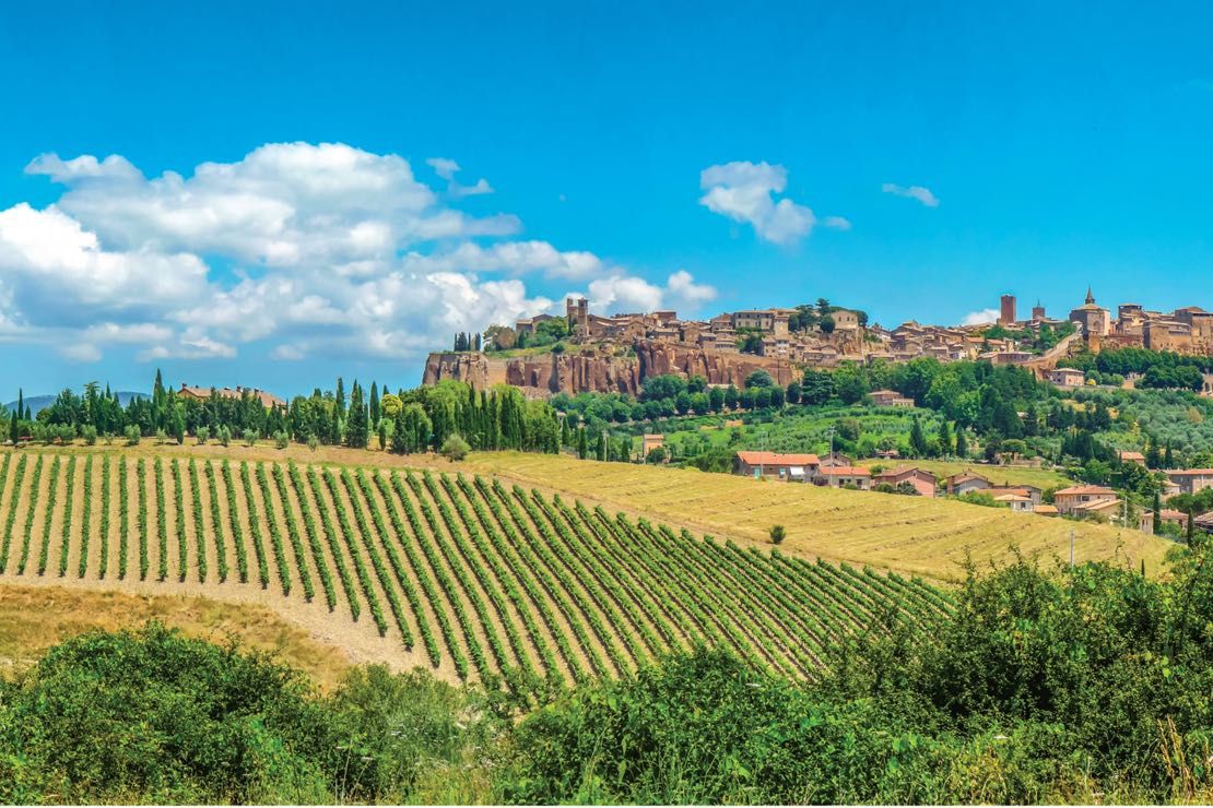 Masterclass Orvieto DOC con Maurizio Filippi a Magenta
