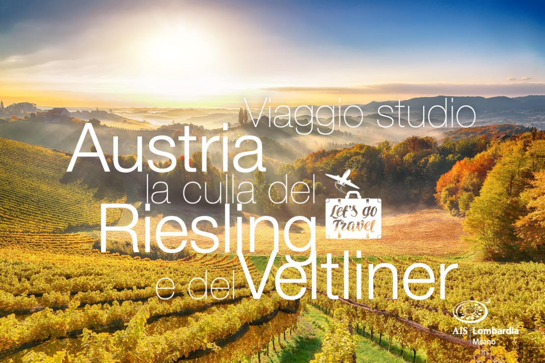 Austria: la culla del riesling e dei veltliner