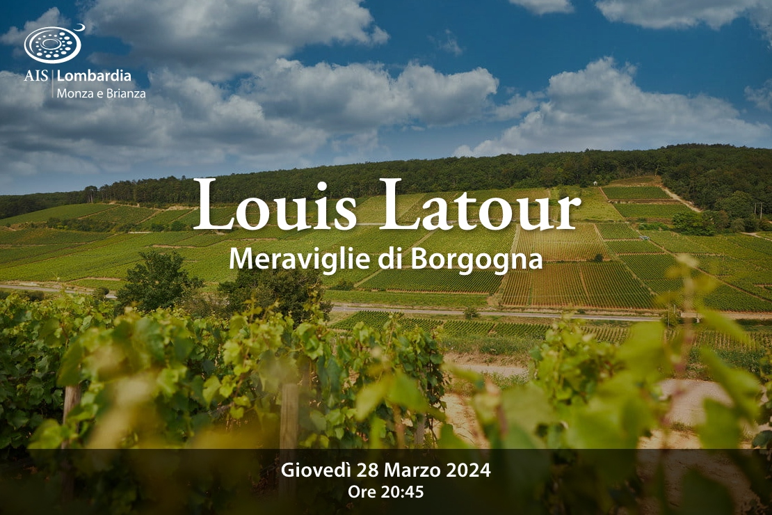 Louis Latour. Meraviglie di Borgogna