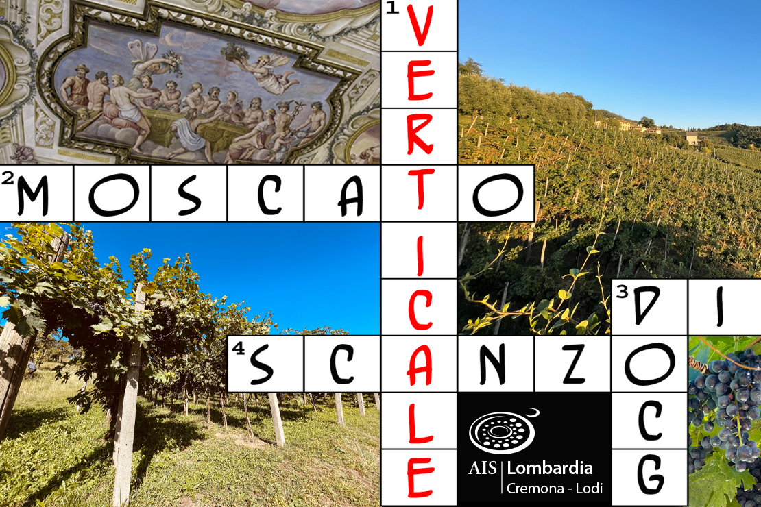 Verticale Moscato di Scanzo