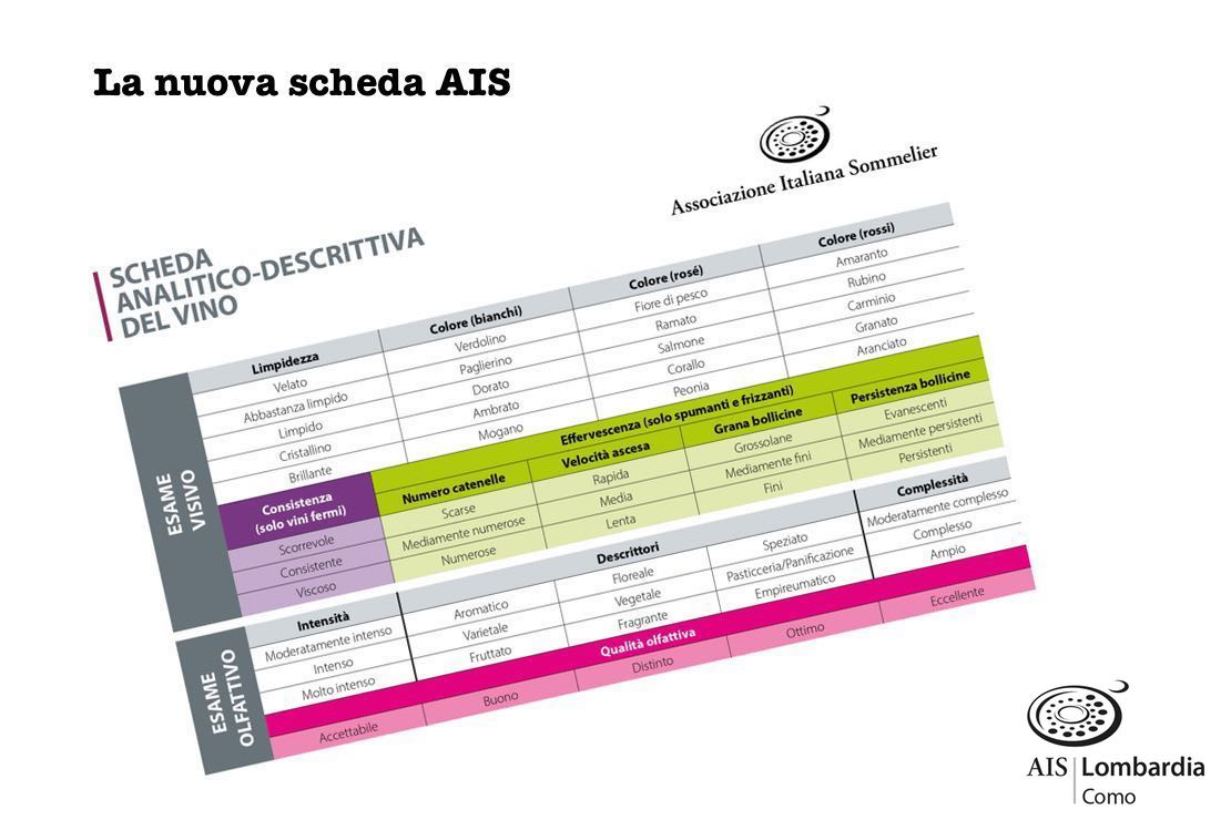 La nuova scheda analitico-descrittiva del vino di AIS
