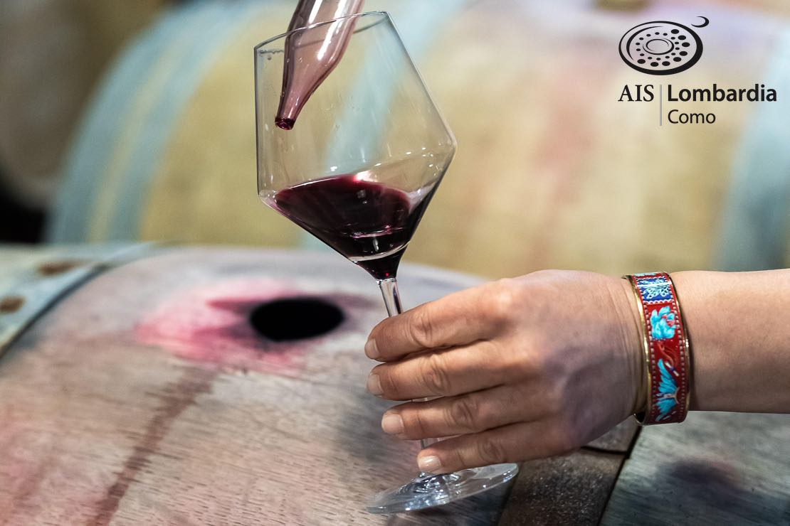 Pinot nero in rosso: la verticale generazionale