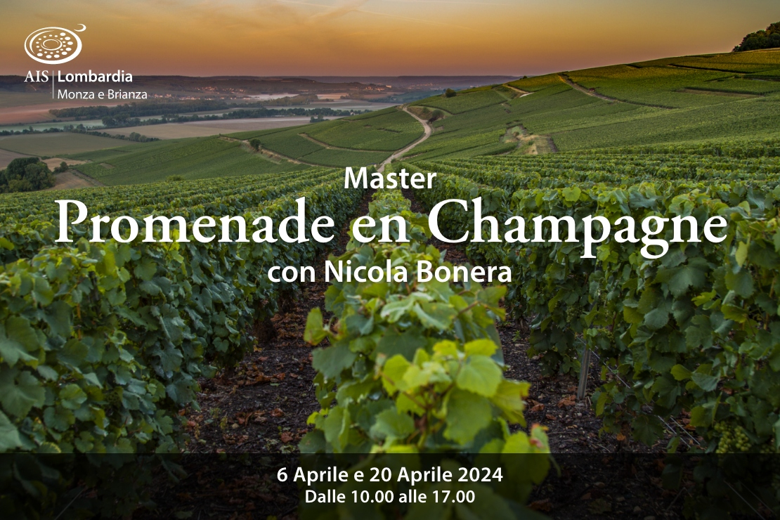 Master Promenade en Champagne - Programma completo