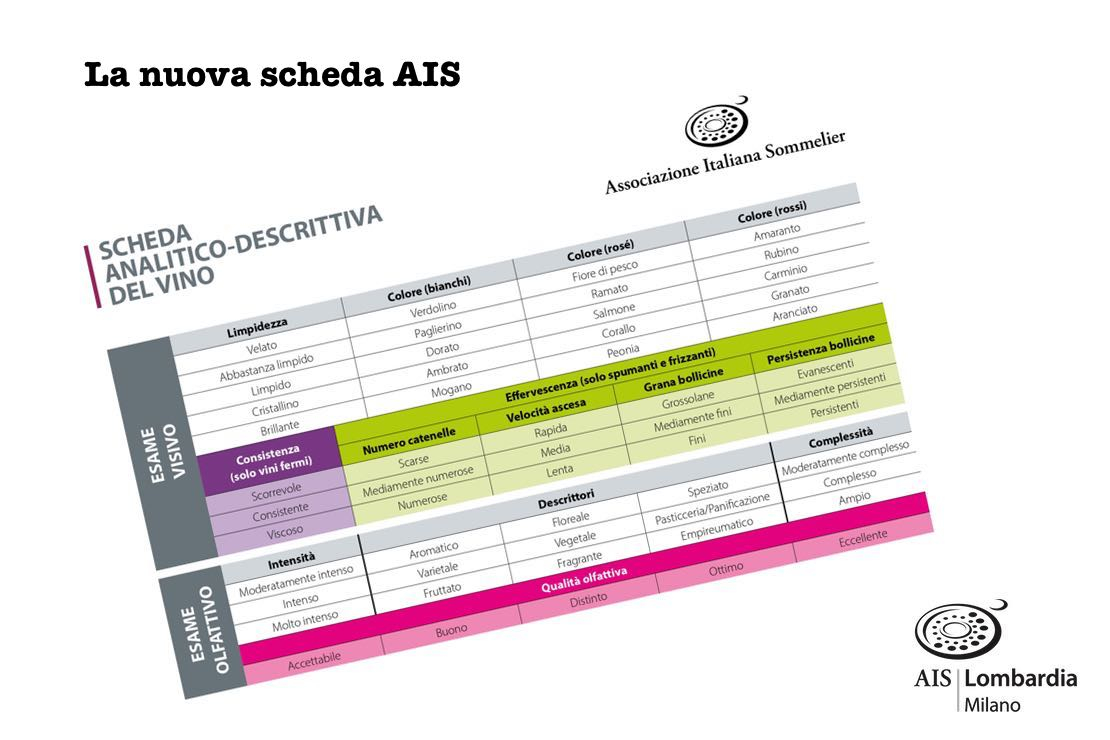 La nuova scheda AIS - Magenta