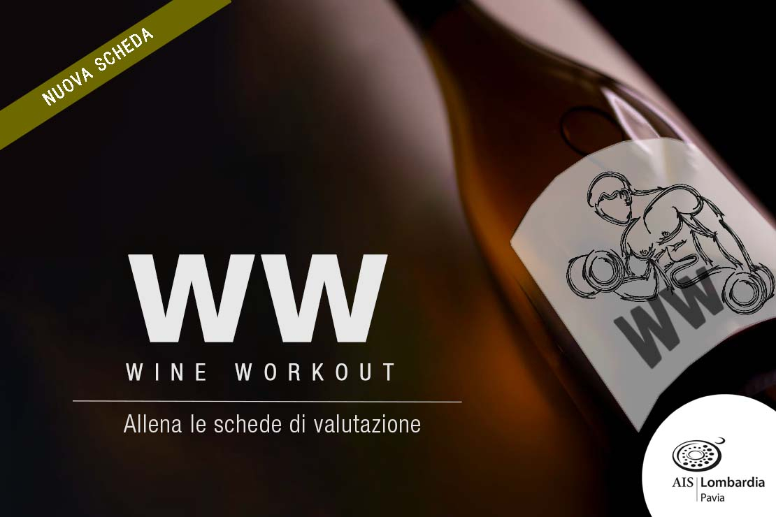 Wine Workout |  9/5 Nuova Scheda