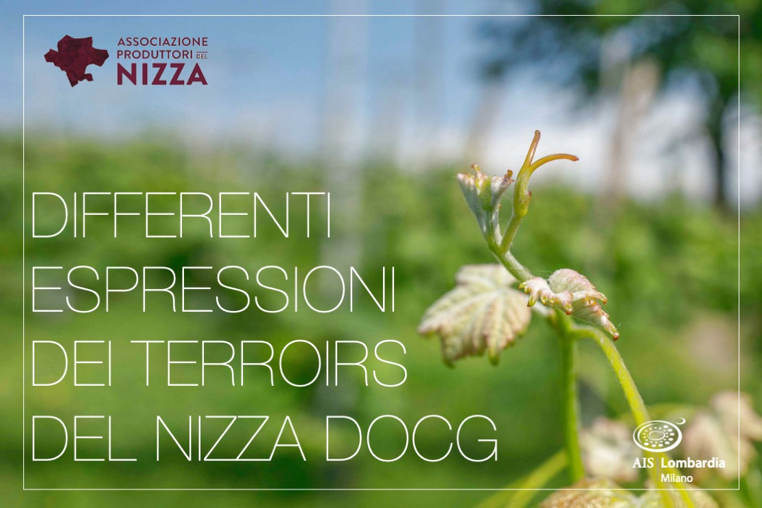 Le differenti espressioni dei terroir del Nizza Docg