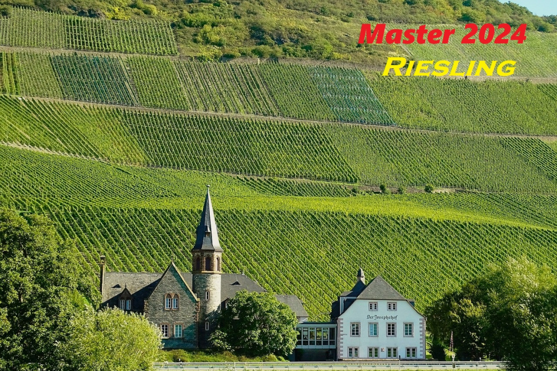 Il Master sul Riesling con Nicola Bonera - Programma completo