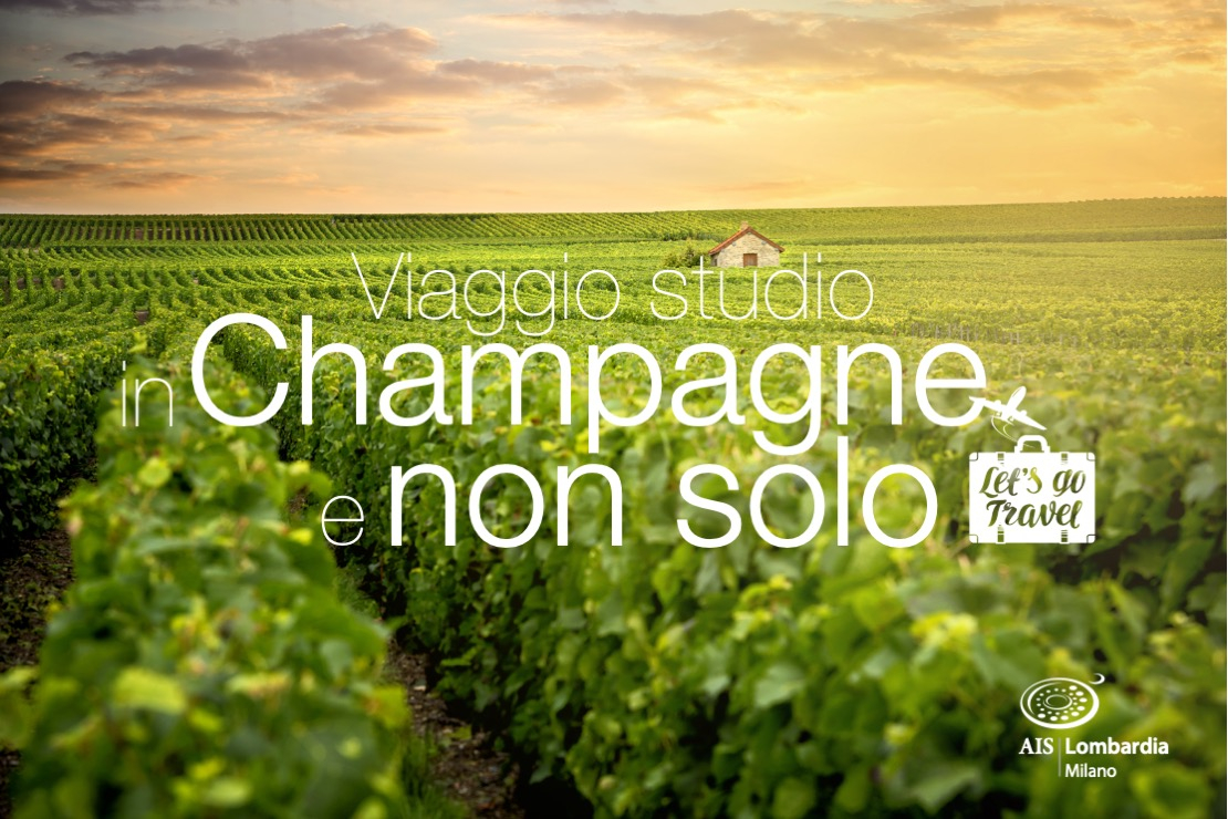 Viaggio-studio nella Champagne