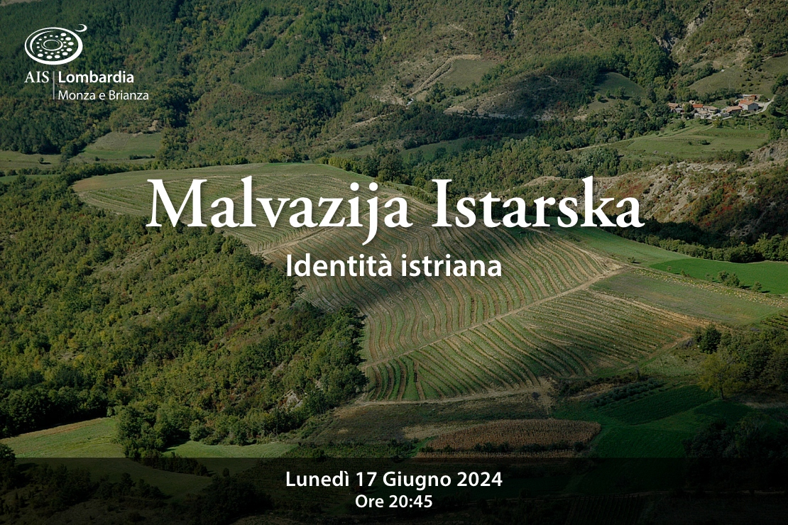 Malvazija Istarska. Identità istriana