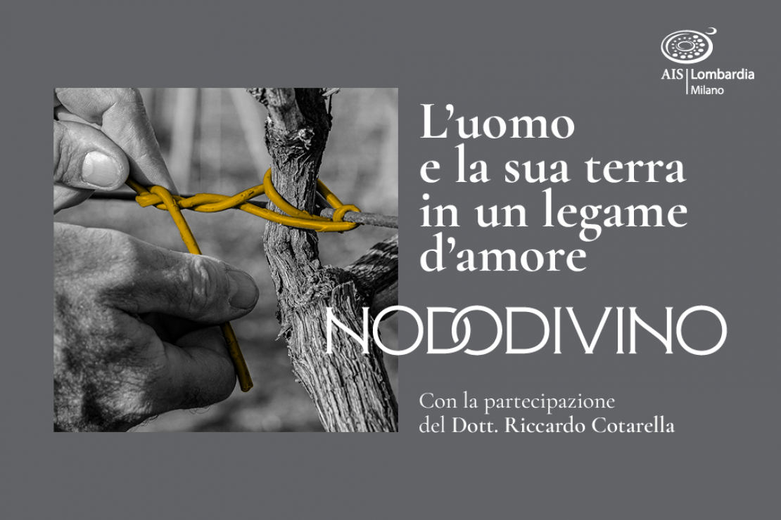 Nododivino, L’uomo e la sua terra in un legame d’amore