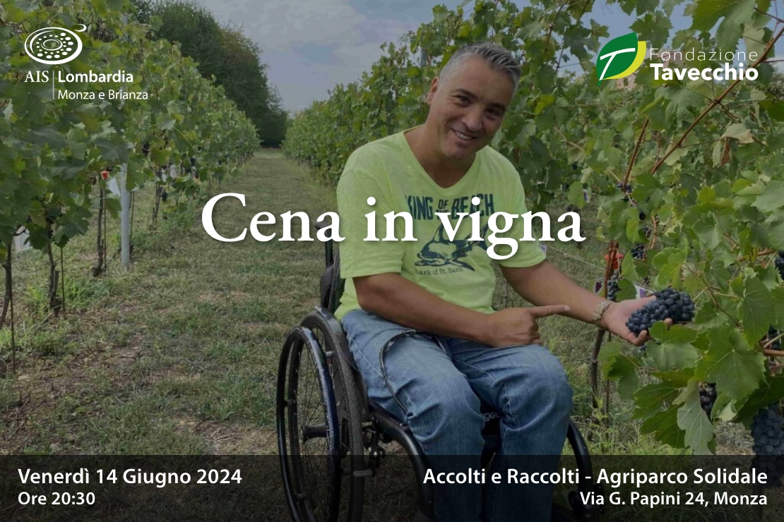Cena in vigna