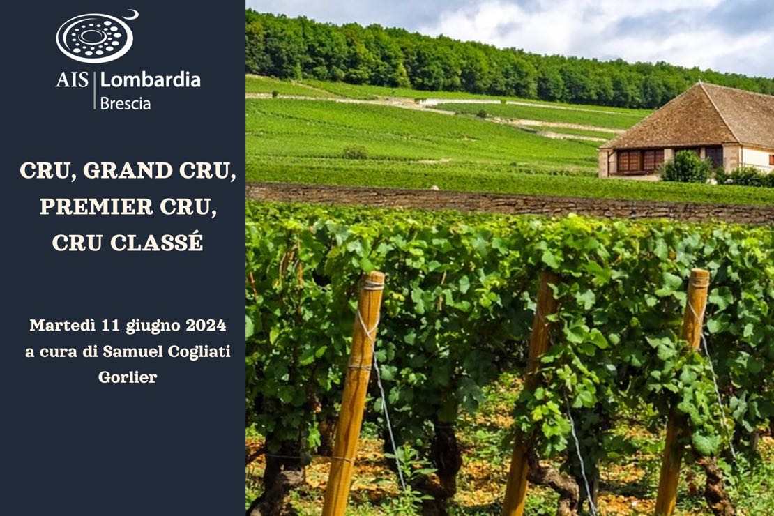 Cru, Grand cru, Premier cru, Cru classé. Prestigio e gerarchia nella Francia del Vino