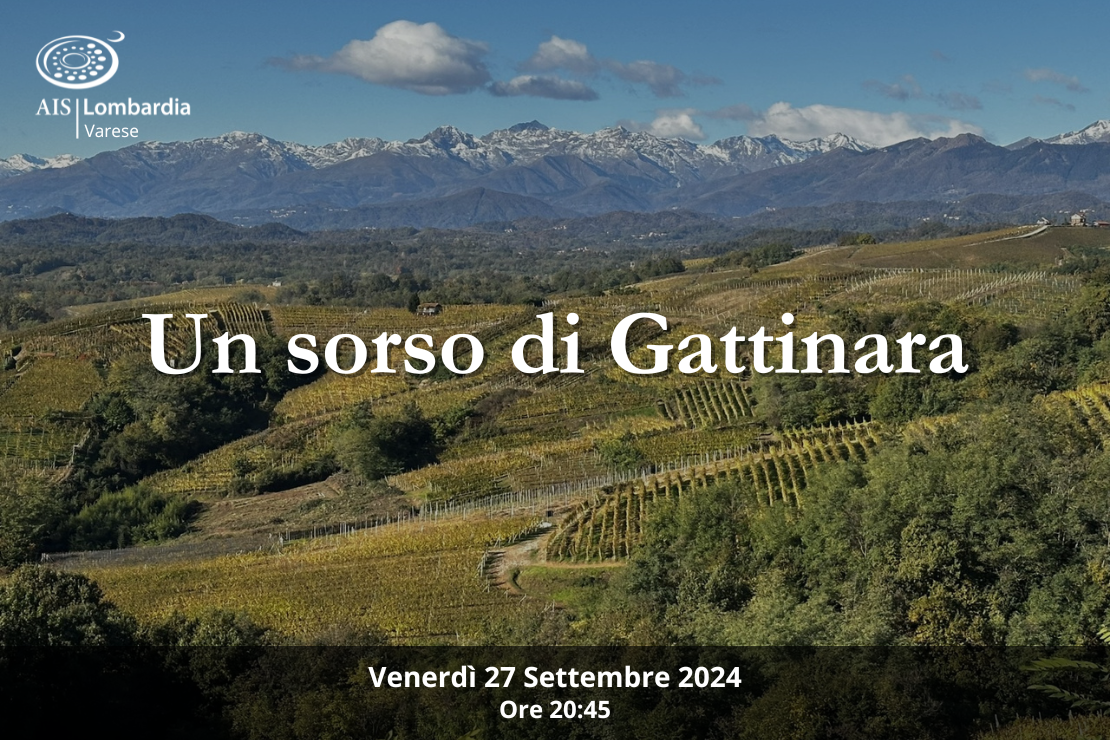 Un sorso di Gattinara