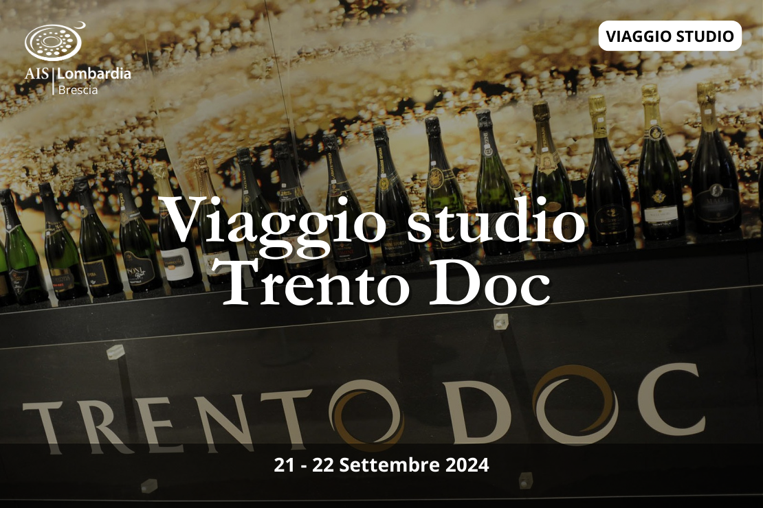 Viaggio studio nell'areale del Trento Doc