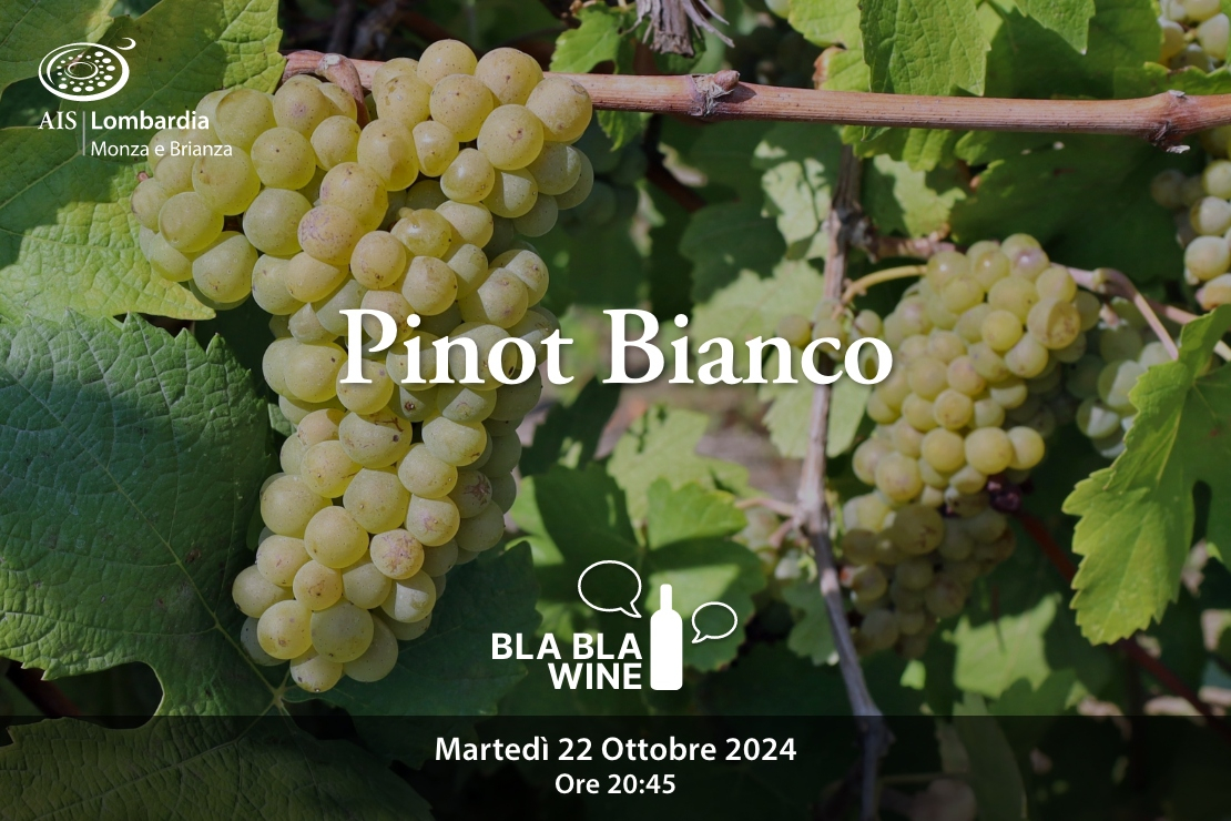 Bla Bla Wine. Pinot Bianco