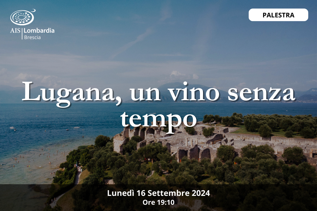 Palestra | Lugana, un vino senza tempo