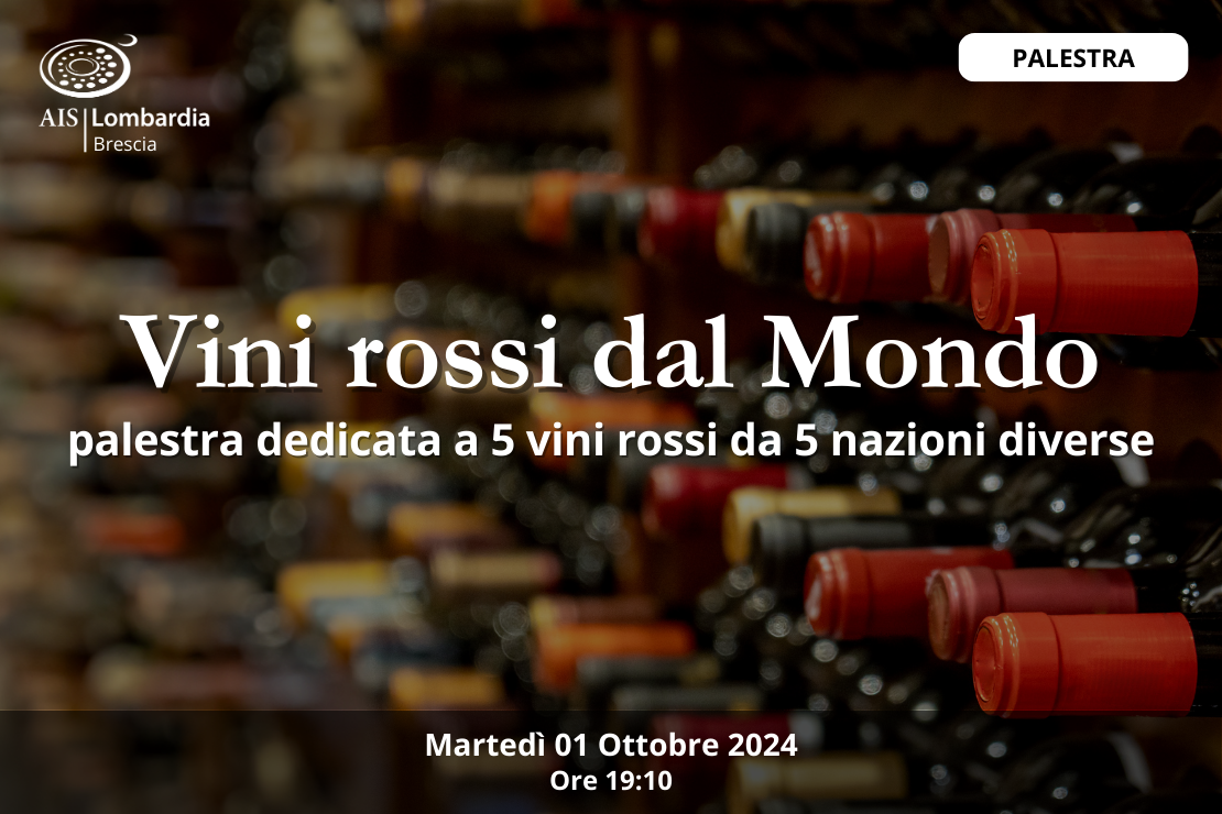 Palestra | vini rossi dal Mondo