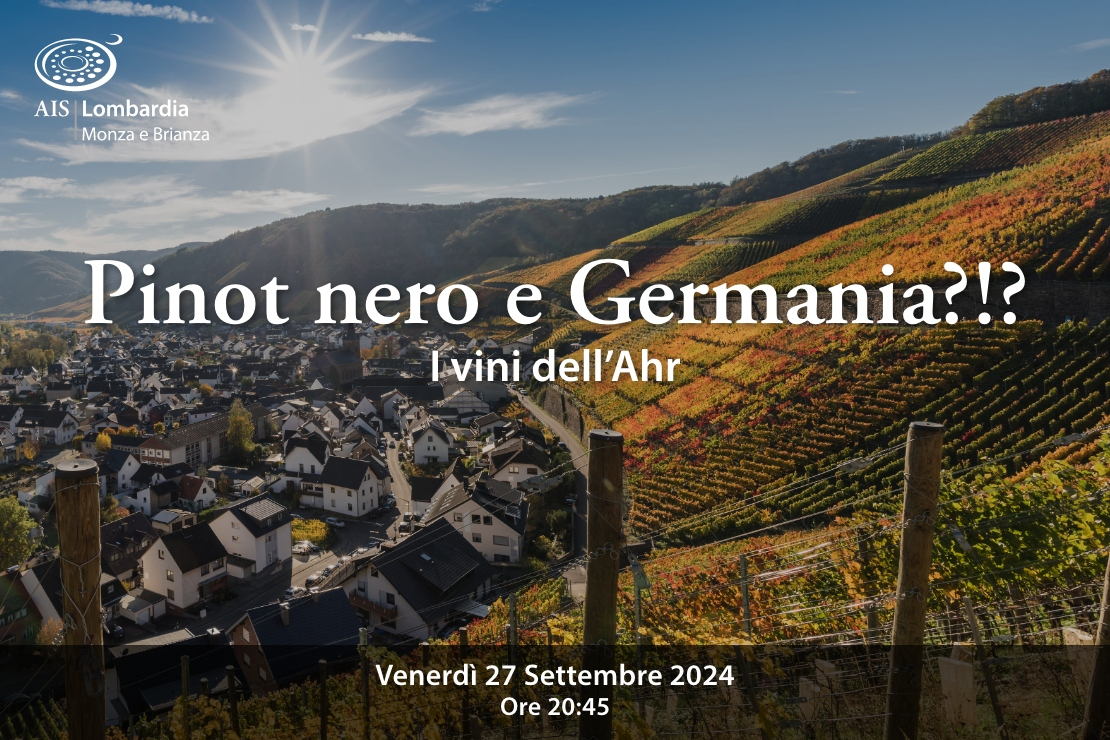Pinot nero & Germania?!? I vini dell'Ahr