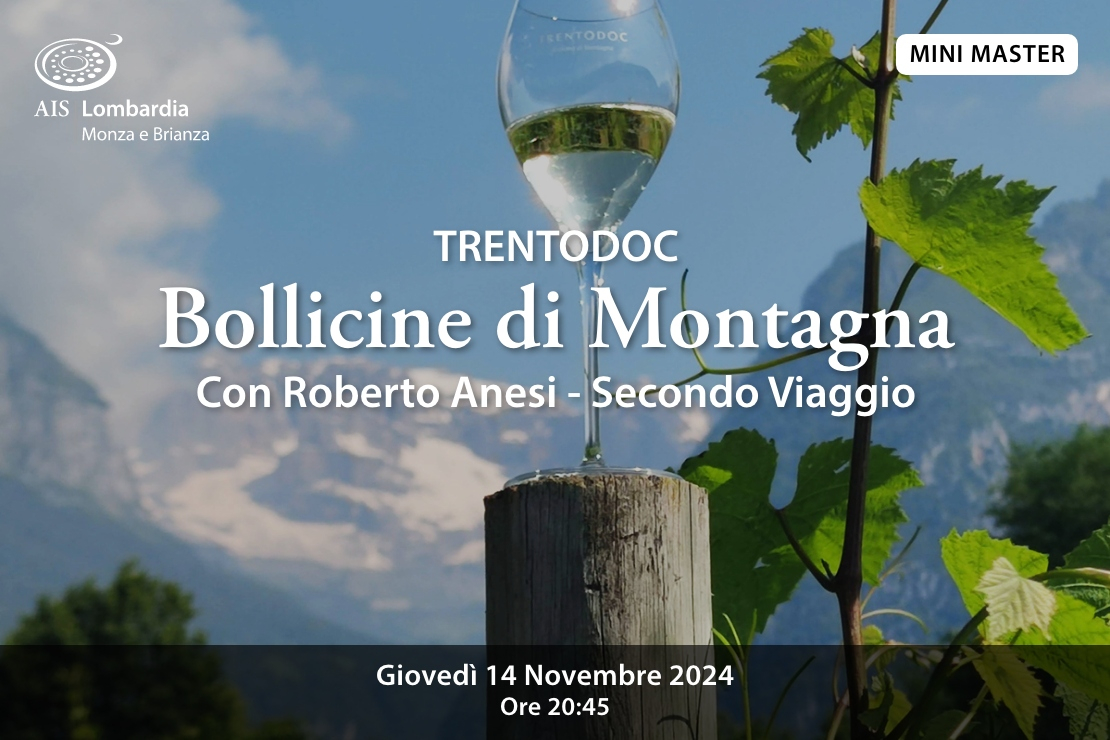 Trentodoc. Le bollicine di montagna con Roberto Anesi - Secondo Viaggio