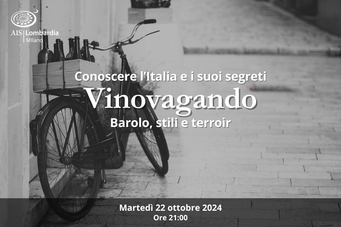 Vinovagando - Barolo, stili e terroir