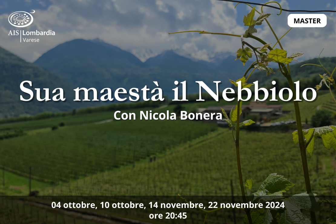 Master | Sua maestà il Nebbiolo con Nicola Bonera