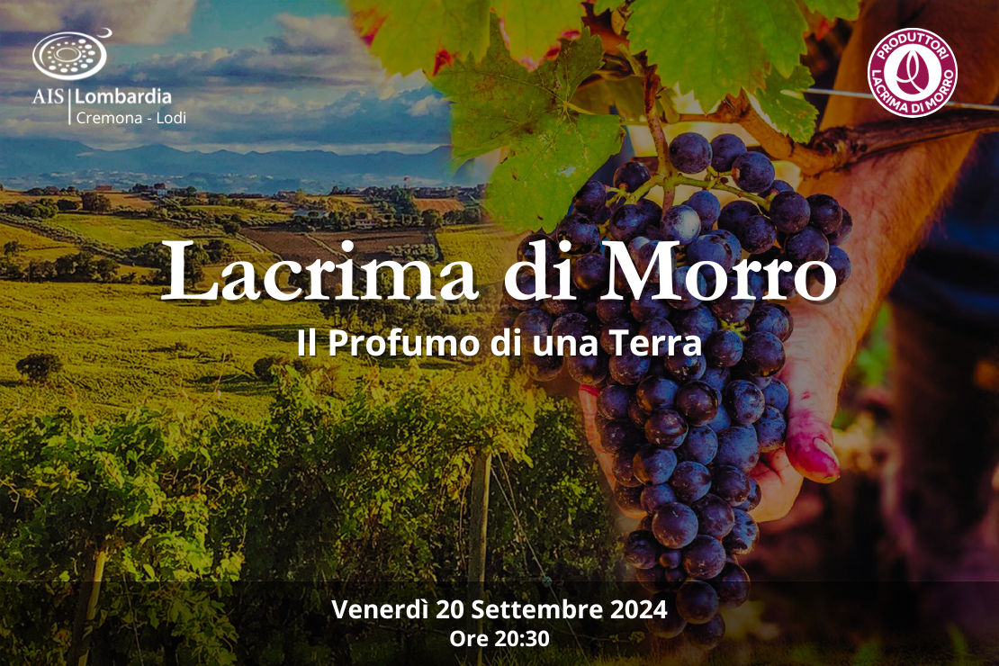 Lacrima di Morro | Il profumo di una terra