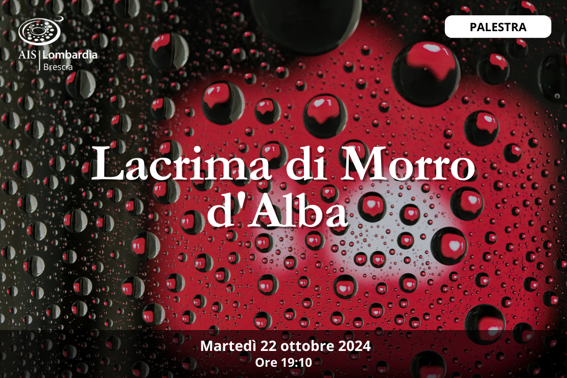 Palestra | Lacrima di Morro d’Alba