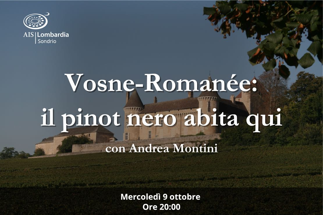 Vosne-Romanée: il pinot nero abita qui