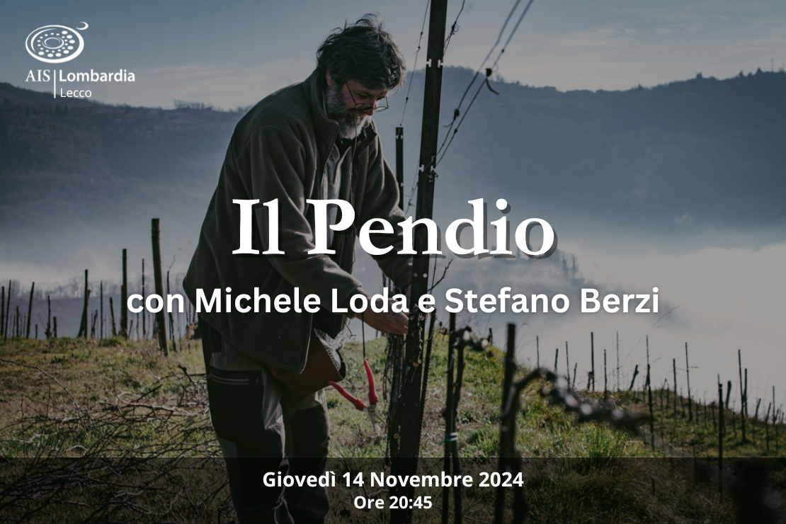 Il Pendio di Michele Loda