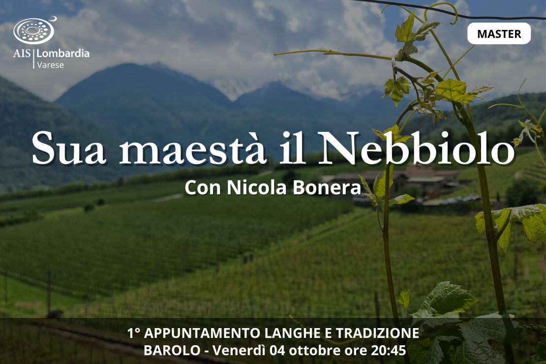 Master  | Sua maestà il Nebbiolo con Nicola Bonera - 1° appuntamento Langhe e tradizione. Barolo