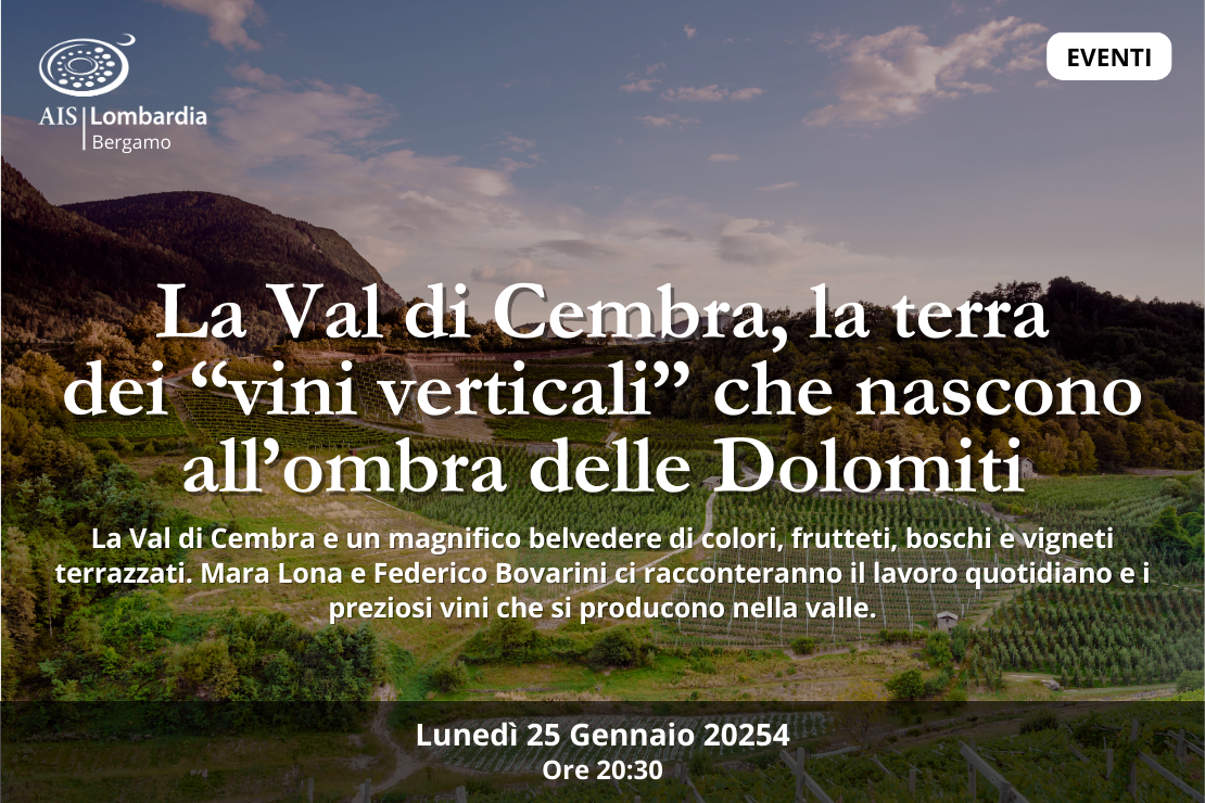 La Val di Cembra, la terra dei “vini verticali” che nascono all’ombra delle Dolomiti