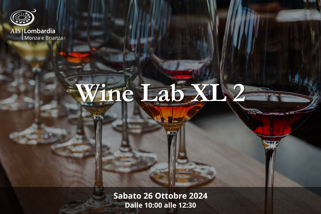 Wine Lab XL 2