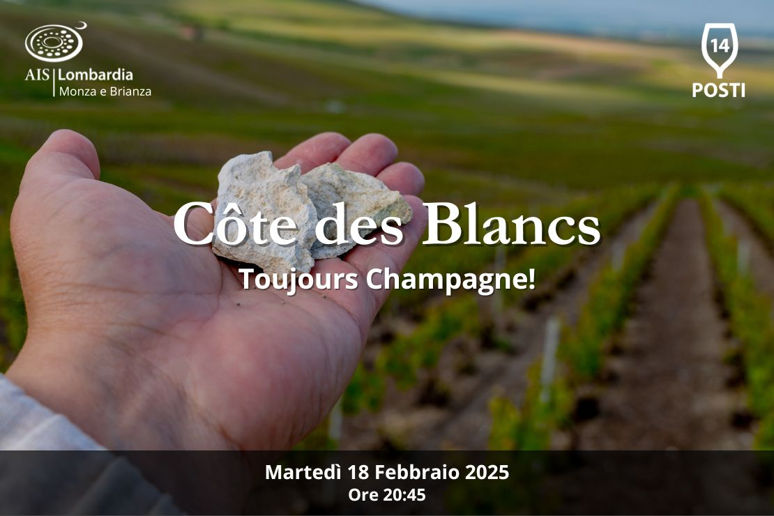 Toujours Champagne! Côte de Blancs