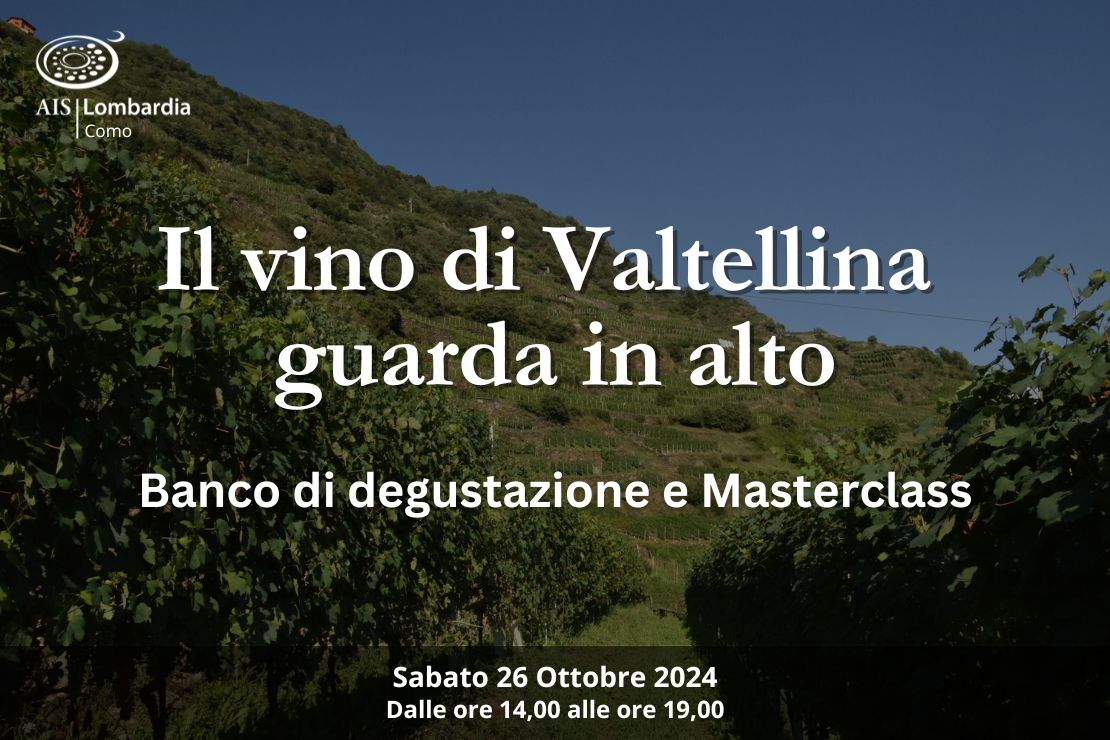 Il vino di Valtellina guarda in alto - Masterclass 1