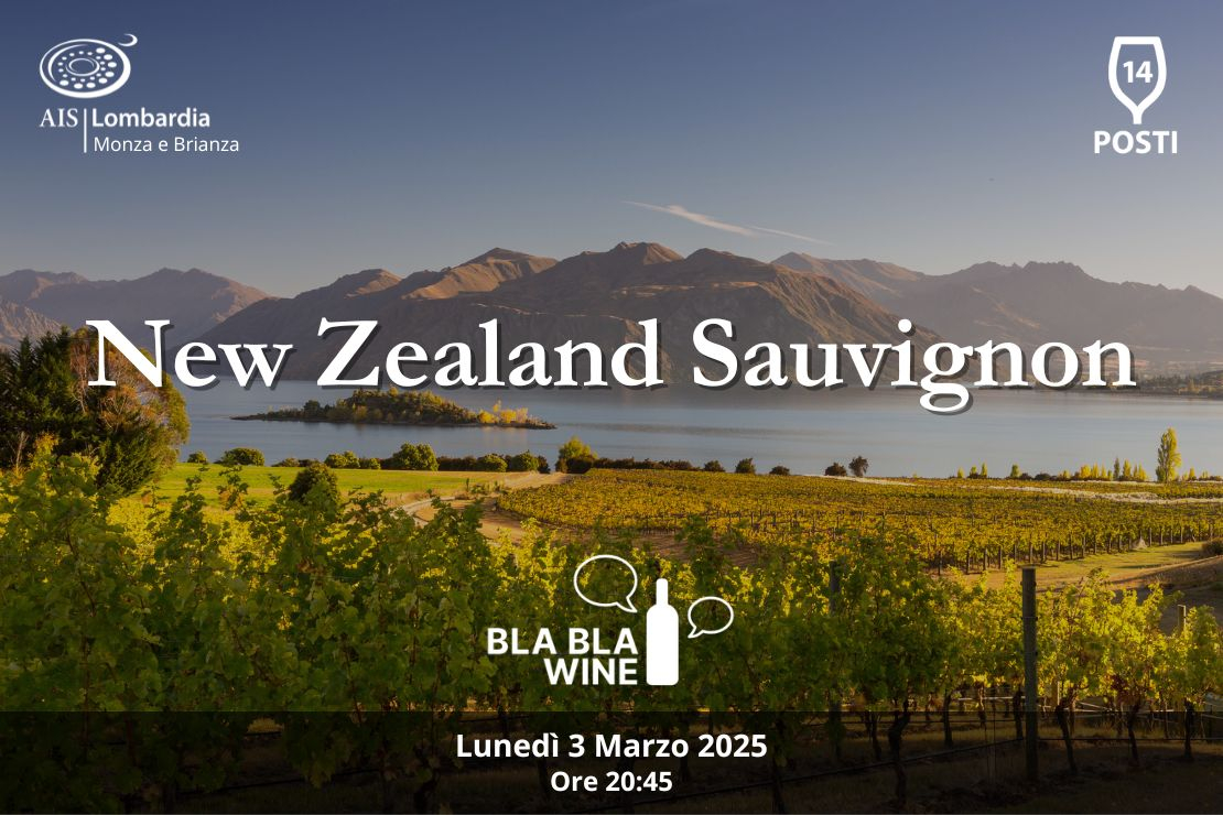 Bla Bla Wine. New Zealand Sauvignon