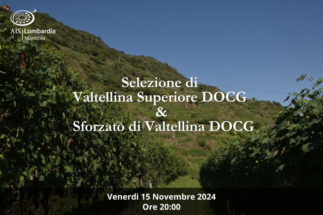 Selezione di Valtellina Superiore DOCG & Sforzato di Valtellina DOCG