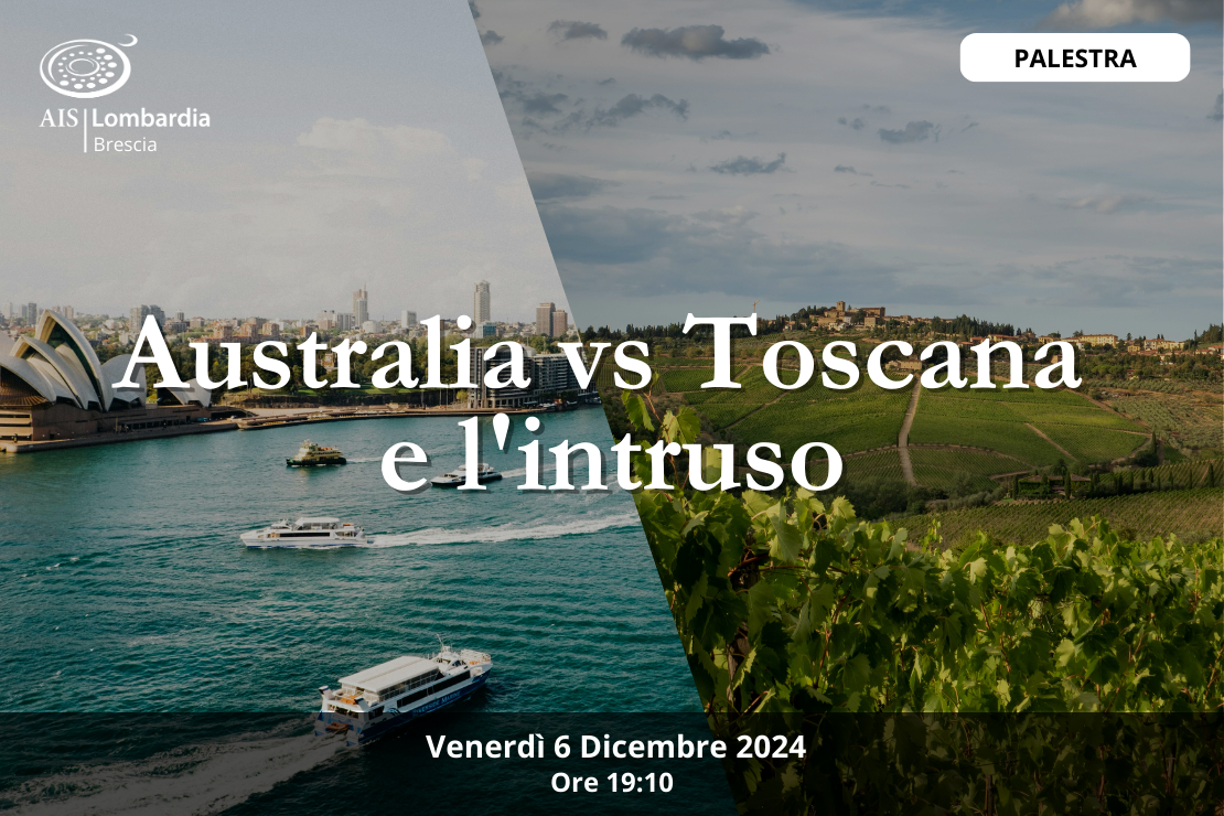 Palestra | Australia vs. Toscana e l’intruso