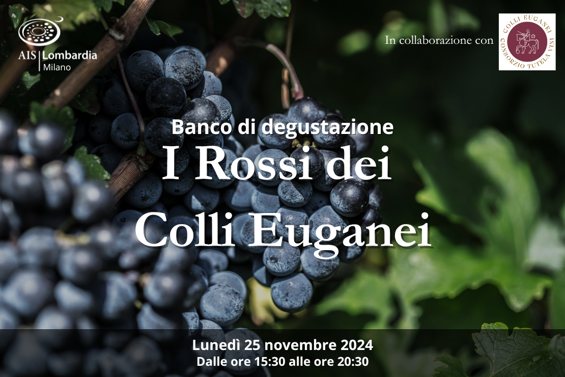 I Rossi dei Colli Euganei. Banco di Degustazione