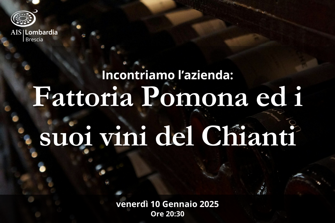 Azienda | Fattoria Pomona e i suoi vini del Chianti Classico