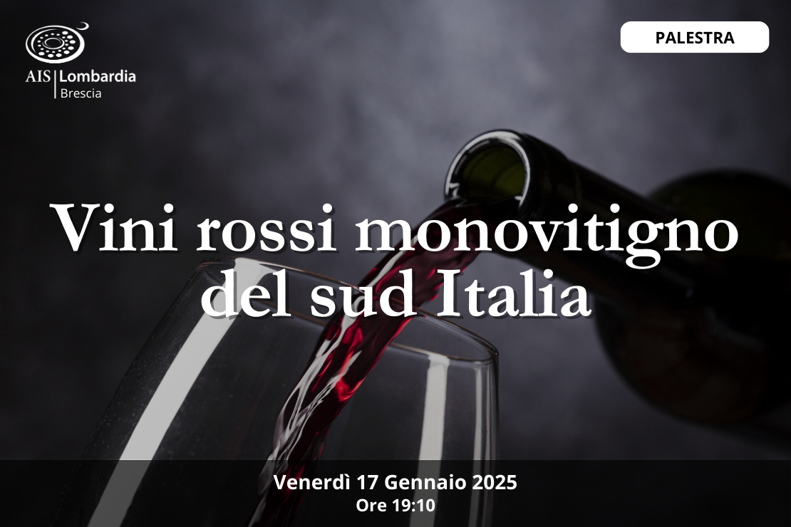 Palestra| Vini rossi monovitigno del sud Italia