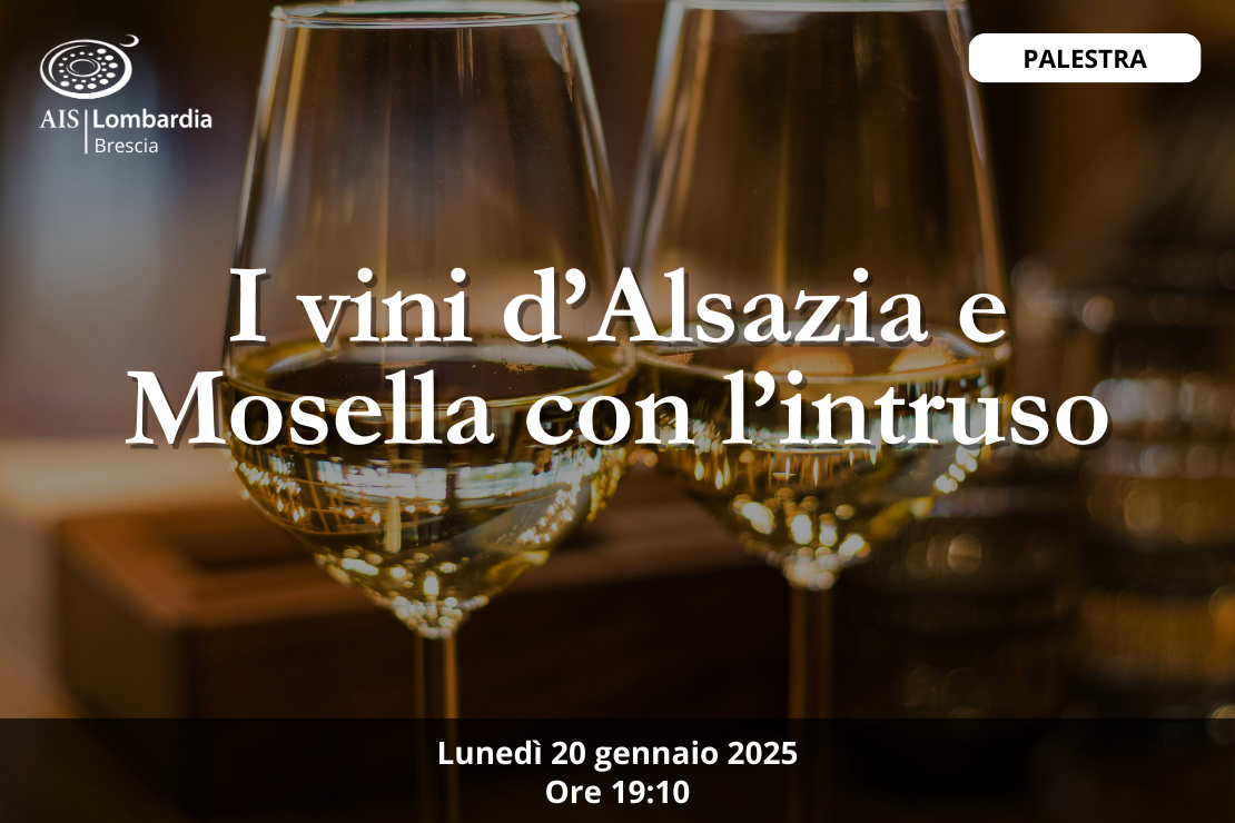 Palestra| I vini d’Alsazia e della Mosella con l’intruso