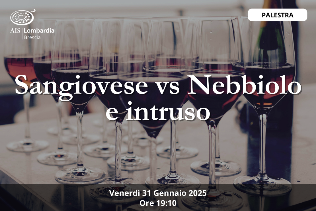 Palestra| Sangiovese vs. Nebbiolo e intruso
